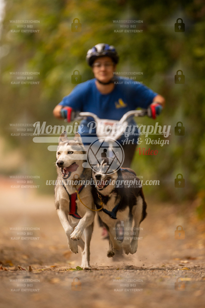 CDLBDB_14_10_2023_Samedi-48 | PayLife