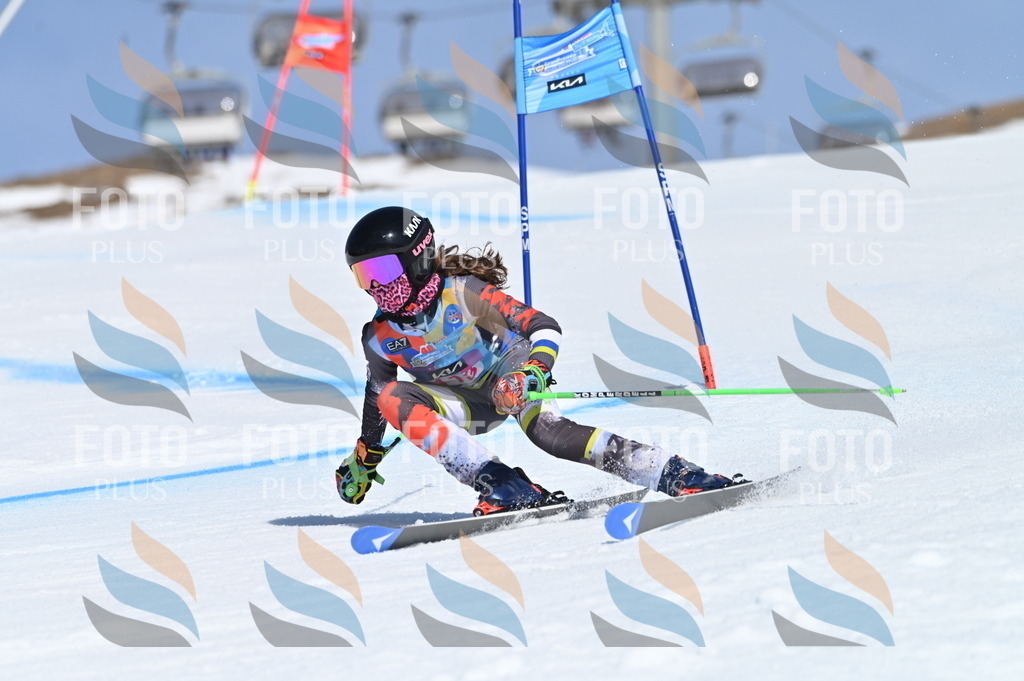 BGV_9686 | holidayphoto