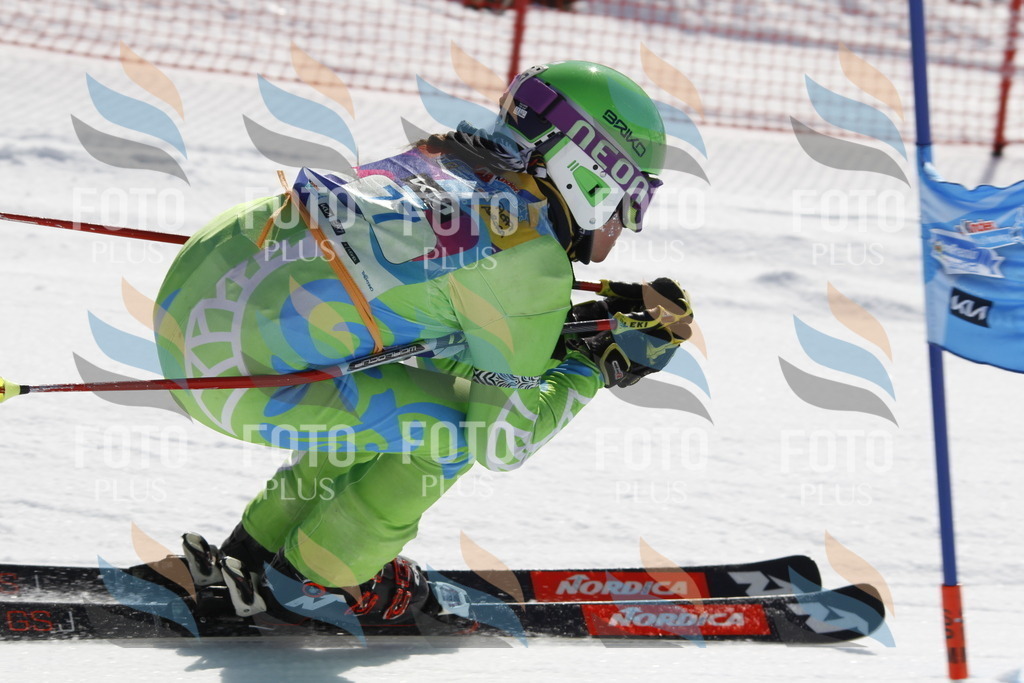 _U3G9950 | holidayphoto