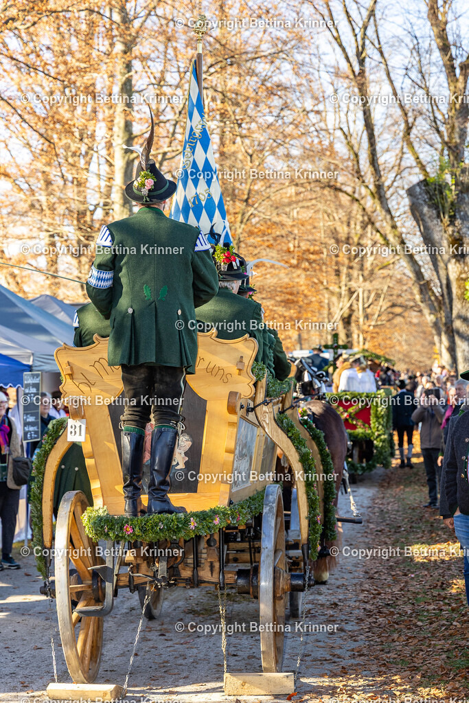LBT25-1120 | foto-bettina-krinner - Realisiert mit Pictrs.com