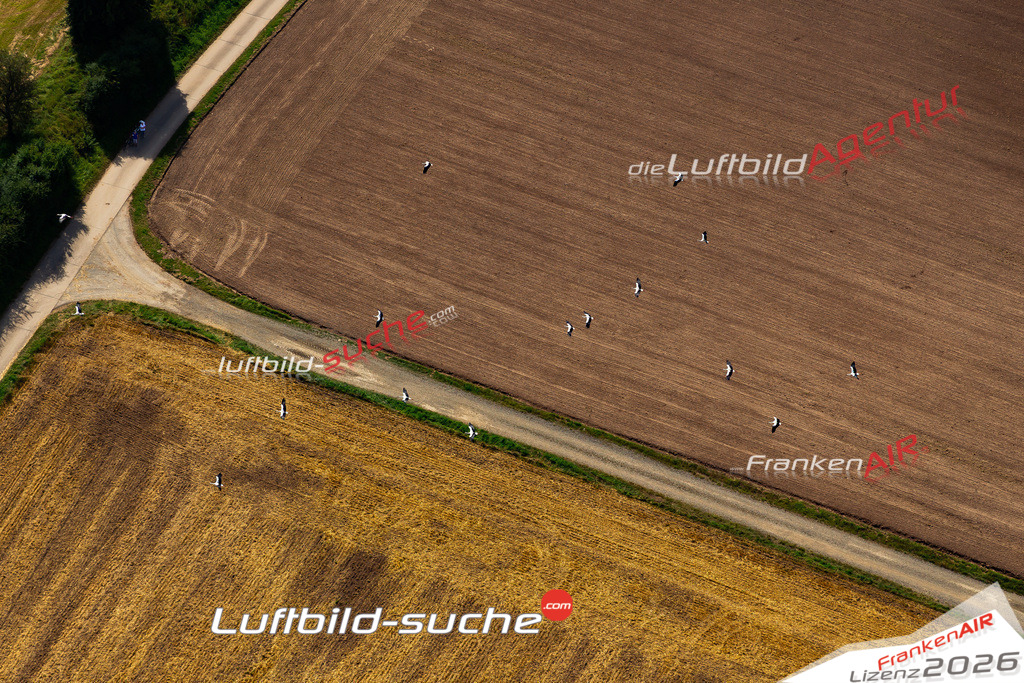 Aktuelles Luftbild von Schwürbitz Michelau im Oberfranken Kauf mit Lizenz / Bildrechten möglich- Die Luftaufnahme wurde 2021 mittels UL-Flugzeug erstellt ( keine Drohne ) - hochauflösende Kamera-Systeme von  Canon -Beste Qualität - Für grossformatige Ausdrucke geeignet. Die Geschenkidee !