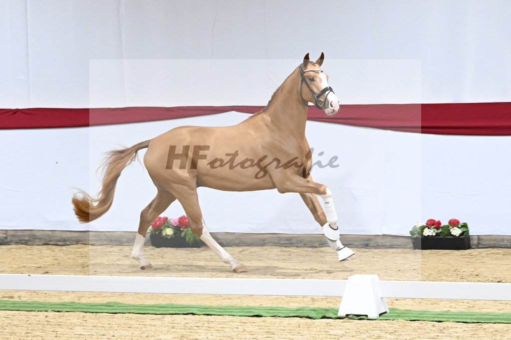 Kat-Nr. 10 v. Fuerst Samarant_Beckmann_63220038 | hf-fotografie - Realizzato con Pictrs.com