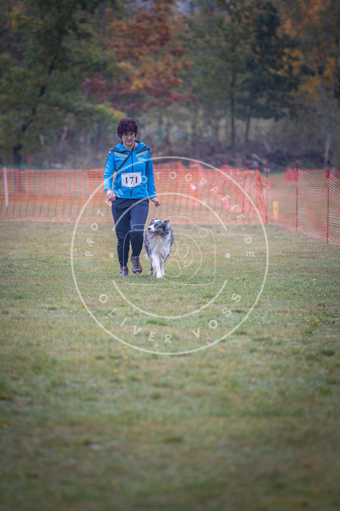 Pfotenfotografie_DV3A9140 | Hundefotografie, Tierfotograf, Pfotenfotografie, Fotoshooting Hund, Hunde Portrait, Hundesport, Hundeportraits, Heideshooting, Hunde, Sportfotograf, Hundefotograf, Turnierhundsport, THS,  - Realisiert mit Pictrs.com