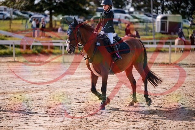 2026_10_03_Siefer-Hof_143653_Z81_05602637 | Professionelle Reitsport-, Turnier- und Eventfotografie von Robert Broda. Galerien mit ausgewählten und bearbeiteten Bildern direkt online ansehen und bestellen.