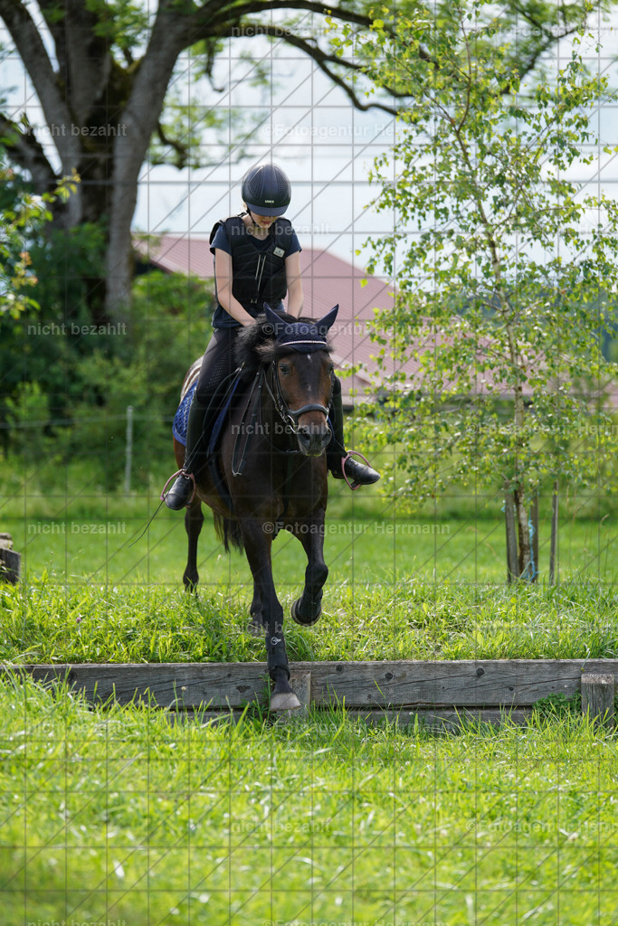 20240622-FAH08002 | Turnierfotografen Bayern, Reitsportbilder aus dem Geländekurs mit Felix Etzel auf dem Gut Waitzacker 2024