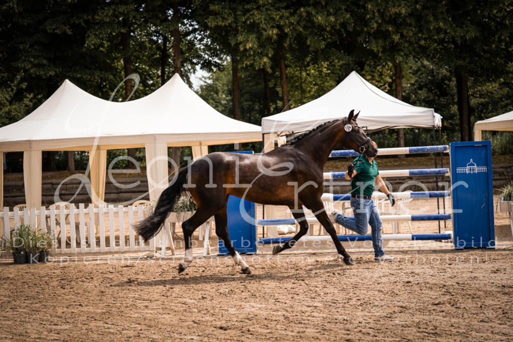 2. Fr00096 | Leoni Ertmer Photography - Realisiert mit Pictrs.com