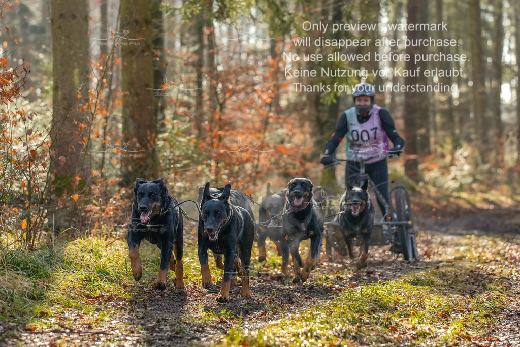 So_Gespanne-18 | stephaniefillaphotographie - Realisiert mit Pictrs.com