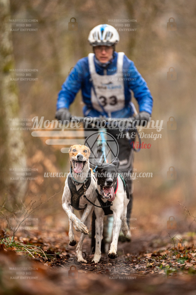 Reiat2023_SON_DS2_5km_2H-7 | mompixphotography