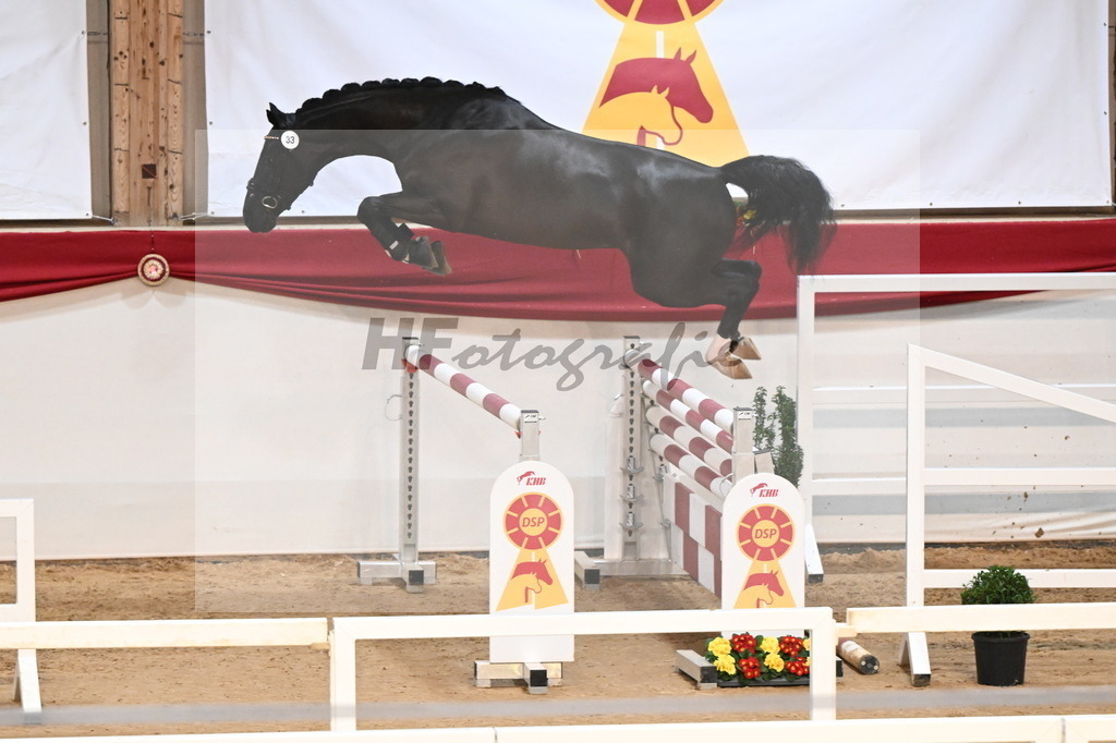 Kat.-Nr. 33 v. Vigaro_Schlamminger_3261821 | hf-fotografie - Realisiert mit Pictrs.com