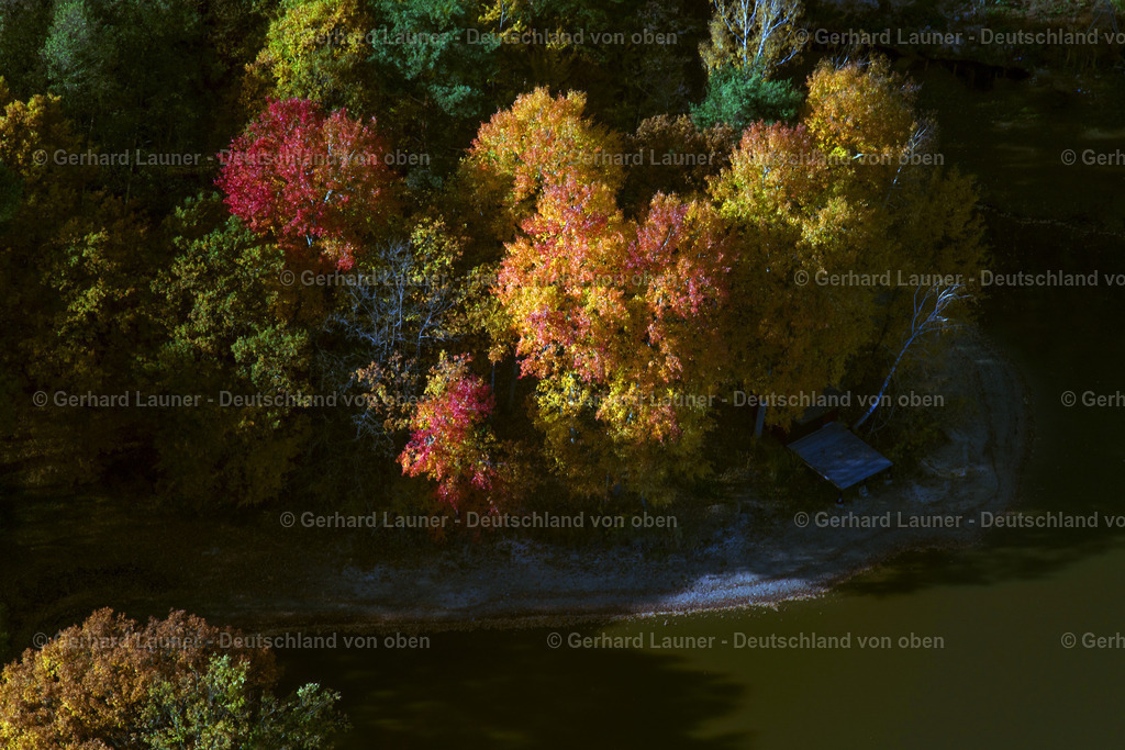 3808118 | Herbstliche Bäume an den Fischteichen bei Adelsdorf
