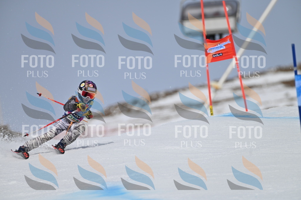 BGV_5092 | holidayphoto