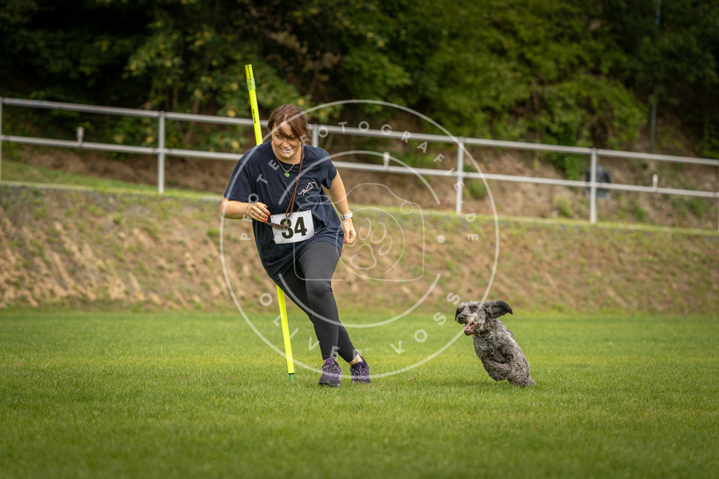 Pfotenfotografie_DV3A1753 | Hundefotografie, Tierfotograf, Pfotenfotografie, Fotoshooting Hund, Hunde Portrait, Hundesport, Hundeportraits, Heideshooting, Hunde, Sportfotograf, Hundefotograf, Turnierhundsport, THS,  - Realisiert mit Pictrs.com