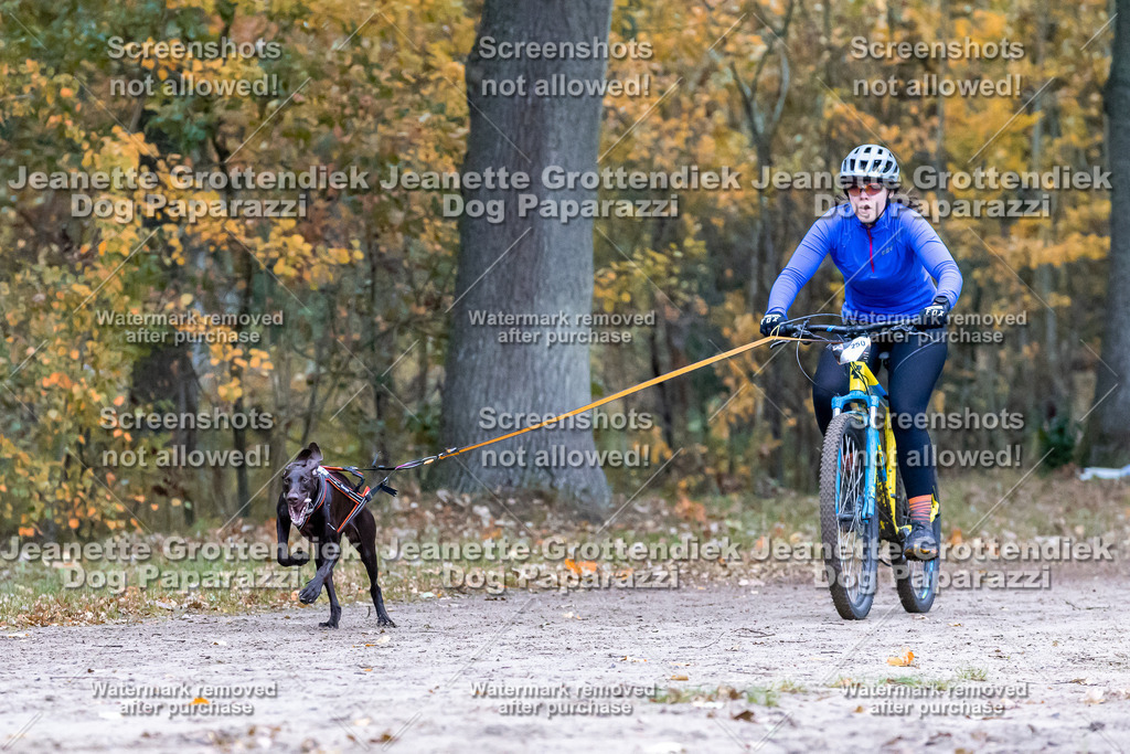 Dog Paparazzi - SD CaniX Championship 2025-263 | Dog Paparazzi Jeanette Grottendiek Fotografie & Videografie