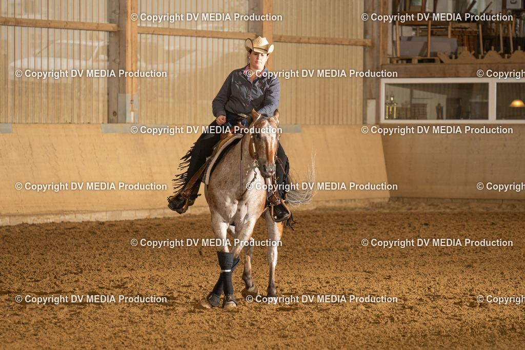 LAU00416 | dv-media-shop - Realisiert mit Pictrs.com