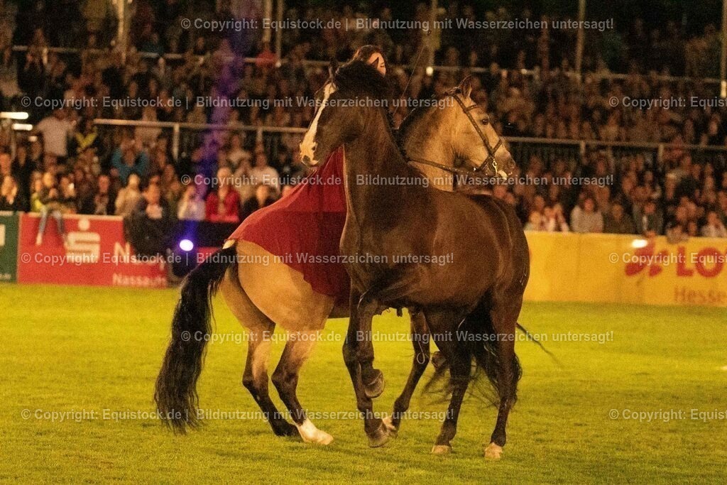 20230526_Pferdenacht_1429 | equistock