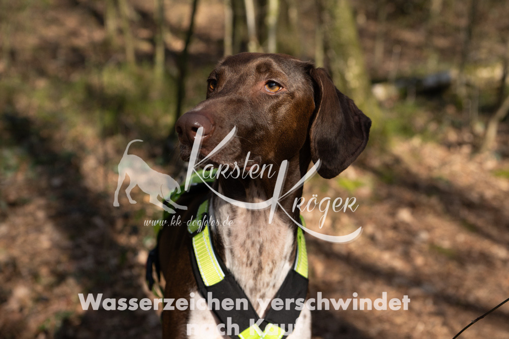 0849_ZZ96016 | kk-dogfotos