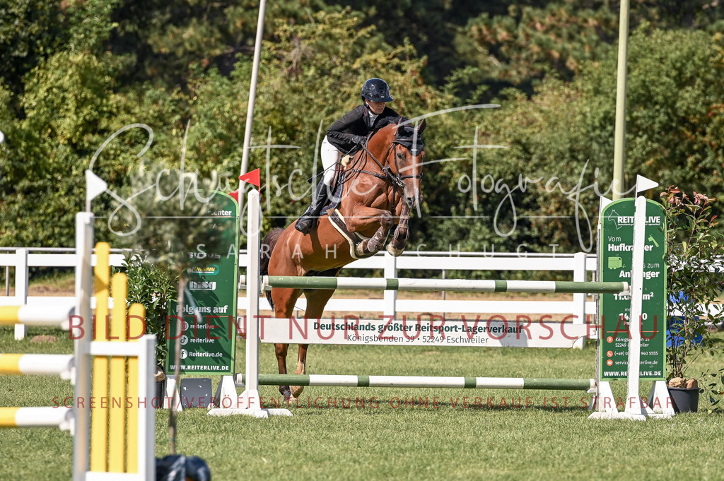 Schugtsche-Düren.2024-09.Springprf.L-185 | Schugtsche Fotografie - Realisiert mit Pictrs.com