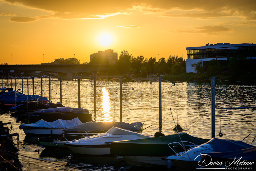 _DSC5439 | Fotografien, Fotos und Bilder aus Mainz, Frankfurt, Wiesbaden und anderen Orten auf der Welt - Fotografiert von Darius Metzner