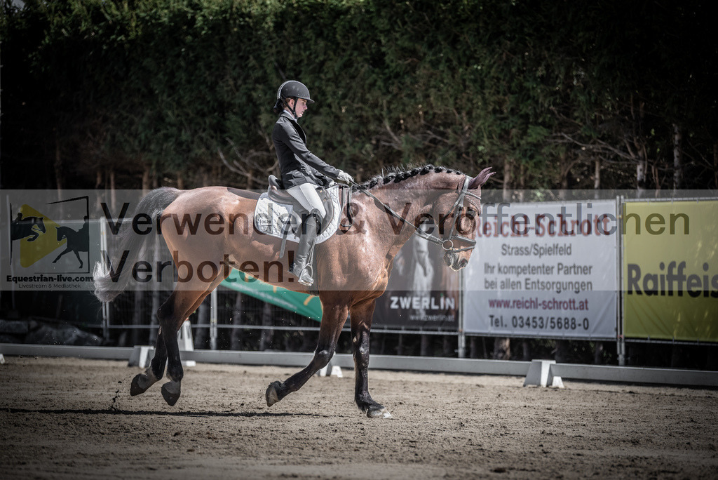 DSC_9887 | equestrian-live-com