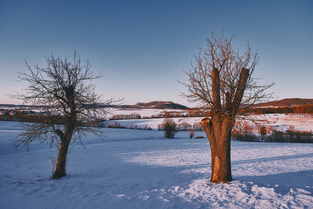 CS-210213-3990-1 | Blick auf das Walberla im Winter