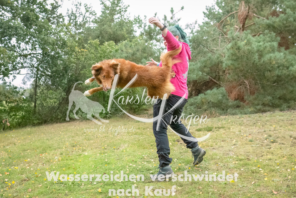 1456_ZZ93977-2-Bearbeitet | kk-dogfotos