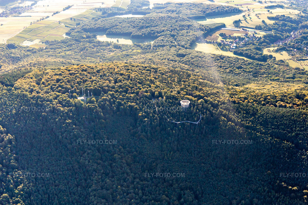 Aerial view: Treetop Walkway Alsace in Cleebourg in the state Bas-Rhin, France. – Photo: IMG_138934.jpg taken on 09/24/2023 by Werner Riehm/FLY-FOTO.com – Resolution of the original: 4941 x 3294 px – den Baumwipfelpfaden der Erlebnis Akademie AG!