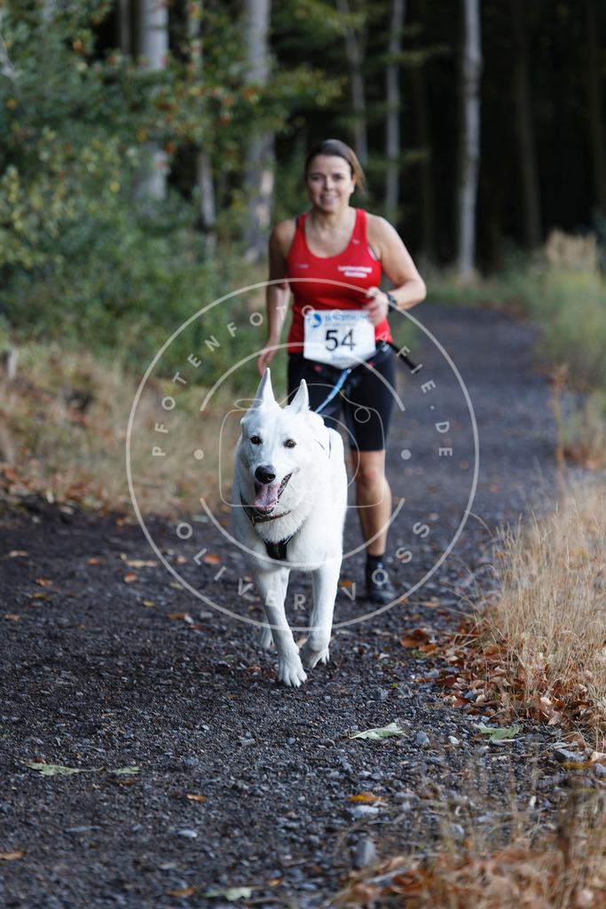 0L8A1818 | Hundefotografie, Tierfotograf, Pfotenfotografie, Fotoshooting Hund, Hunde Portrait, Hundesport, Hundeportraits, Heideshooting, Hunde, Sportfotograf, Hundefotograf, Turnierhundsport, THS,  - Realisiert mit Pictrs.com