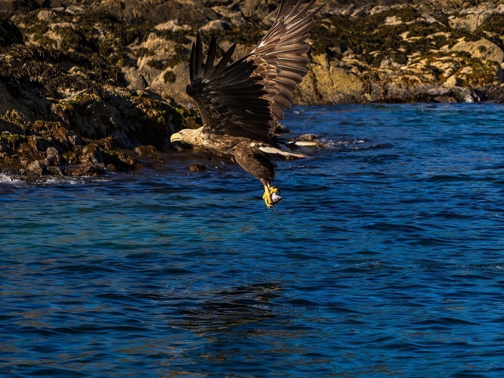 P1001630-LR-topaz-denoise-enhance | Natur im Moment - Realisiert mit Pictrs.com