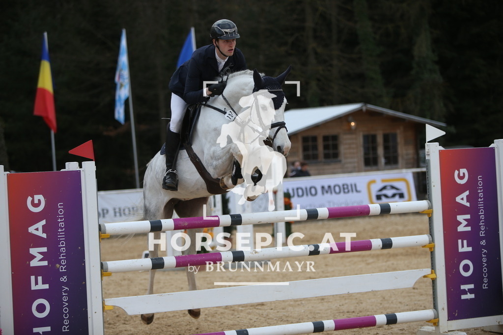 AS8V8138 | Willkommen bei Brunnmayr - Design & Fotografie – Ihrem Spezialisten für Reitturniere und Pferdeveranstaltungen in Oberösterreich, Salzburg und Bayern! Seit über 17 Jahren sind wir leidenschaftlich dabei.