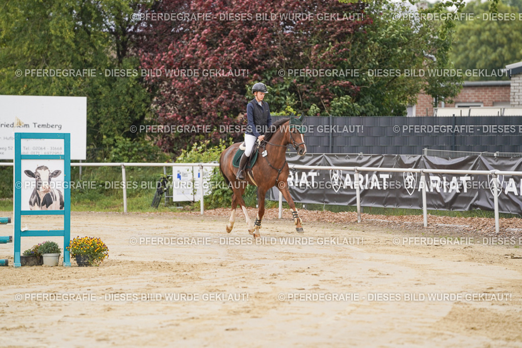 DSC00451 | Pferdegrafie