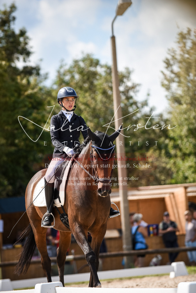 DSC_9394 | Pferde- und Turnierfotografie in Westsachsen. Pferdeportraits, Auftragszeichnungen und intuitive Kunst.