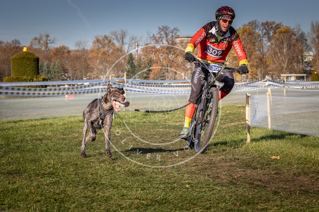 CaniXpix_0L8A5549 | Hundefotografie, Tierfotograf, Pfotenfotografie, Fotoshooting Hund, Hunde Portrait, Hundesport, Hundeportraits, Heideshooting, Hunde, Sportfotograf, Hundefotograf, Turnierhundsport, THS,  - Realisiert mit Pictrs.com