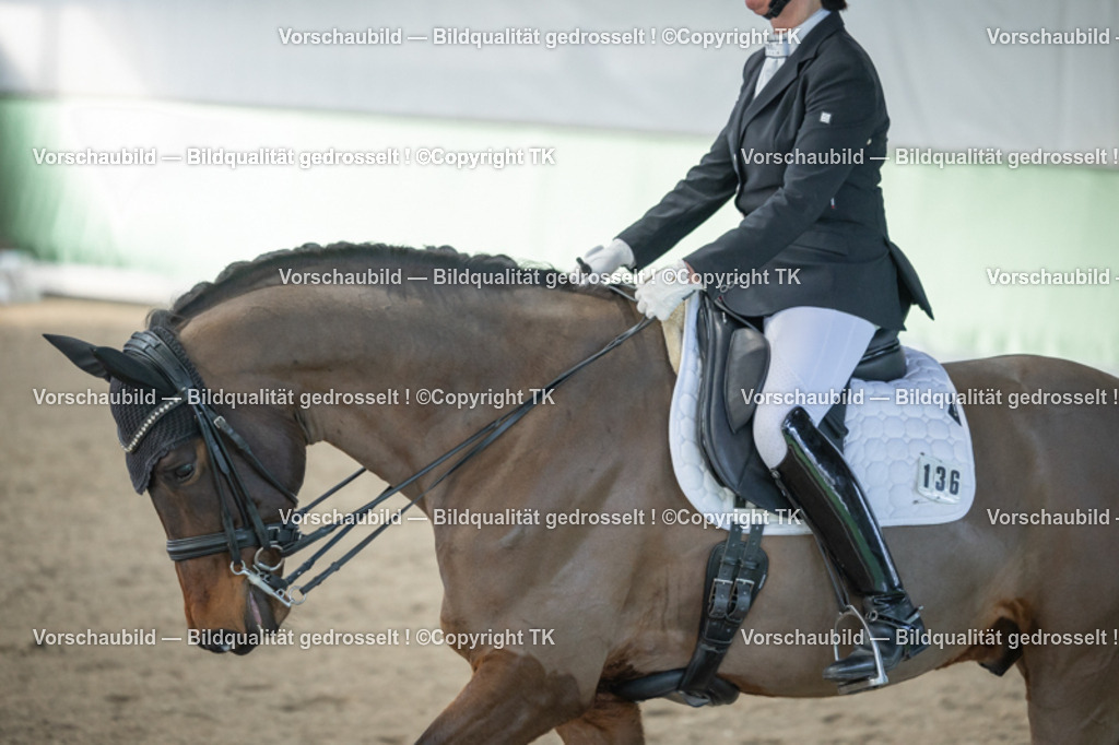 _D5A4392 | Emotionale Pferde- & People-Fotografie rund um Heidelberg, Leimen & Umgebung. Natürliche Fotos von Pferd, Mensch & Familie. Jetzt Termin sichern!