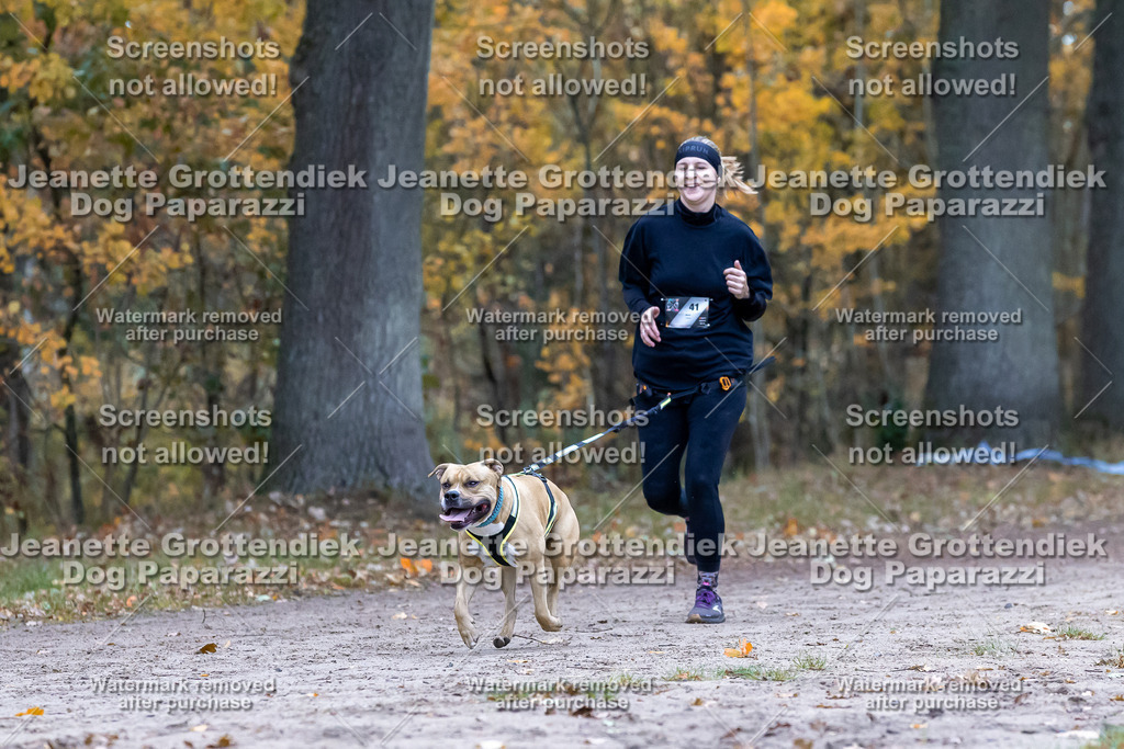 Dog Paparazzi - SD CaniX Championship 2025-350 | Dog Paparazzi Jeanette Grottendiek Fotografie & Videografie - Realisiert mit Pictrs.com