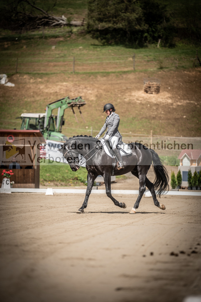 DSC_1351 | equestrian-live-com