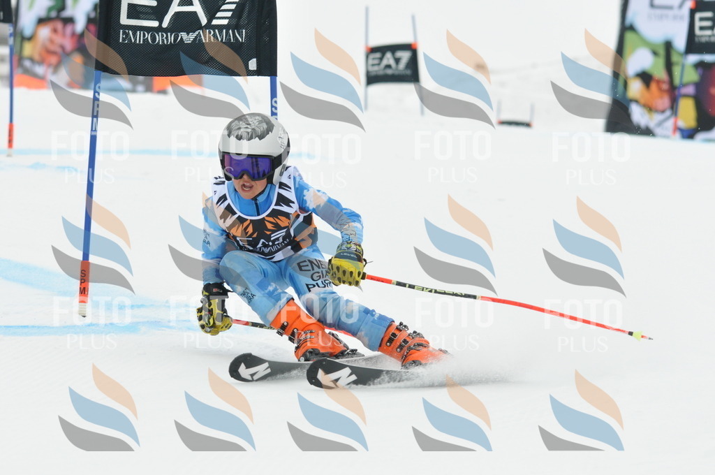 DSC_7983 | holidayphoto