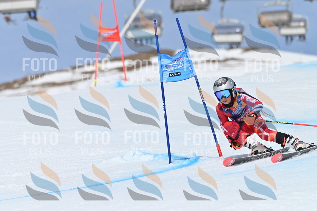 BGV_1448 | holidayphoto