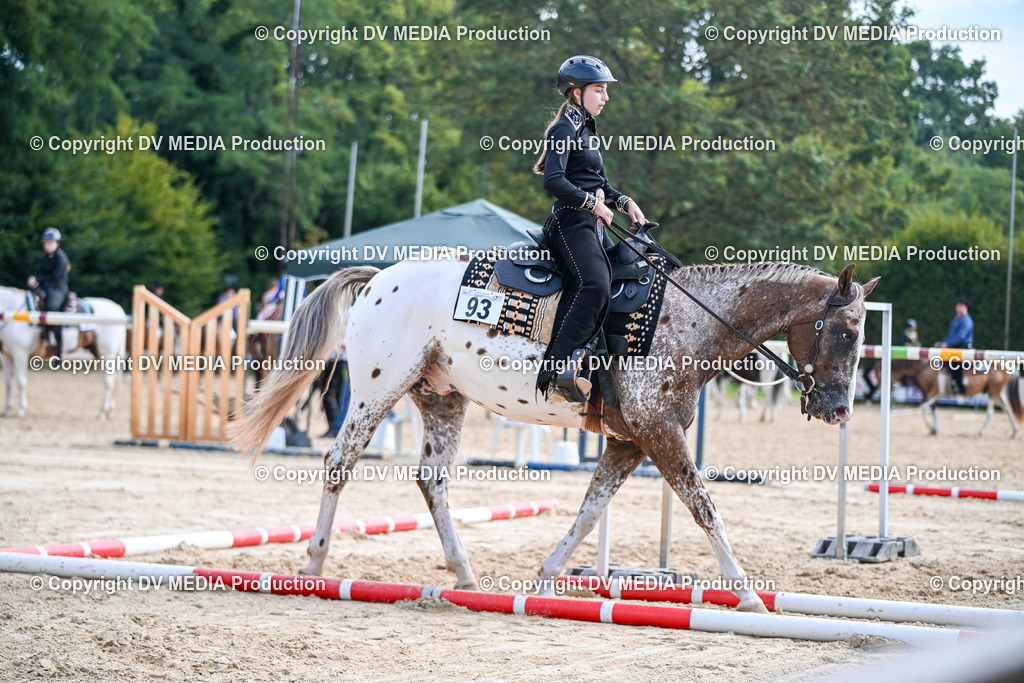 ZS2_3538 | dv-media-shop - Realisiert mit Pictrs.com