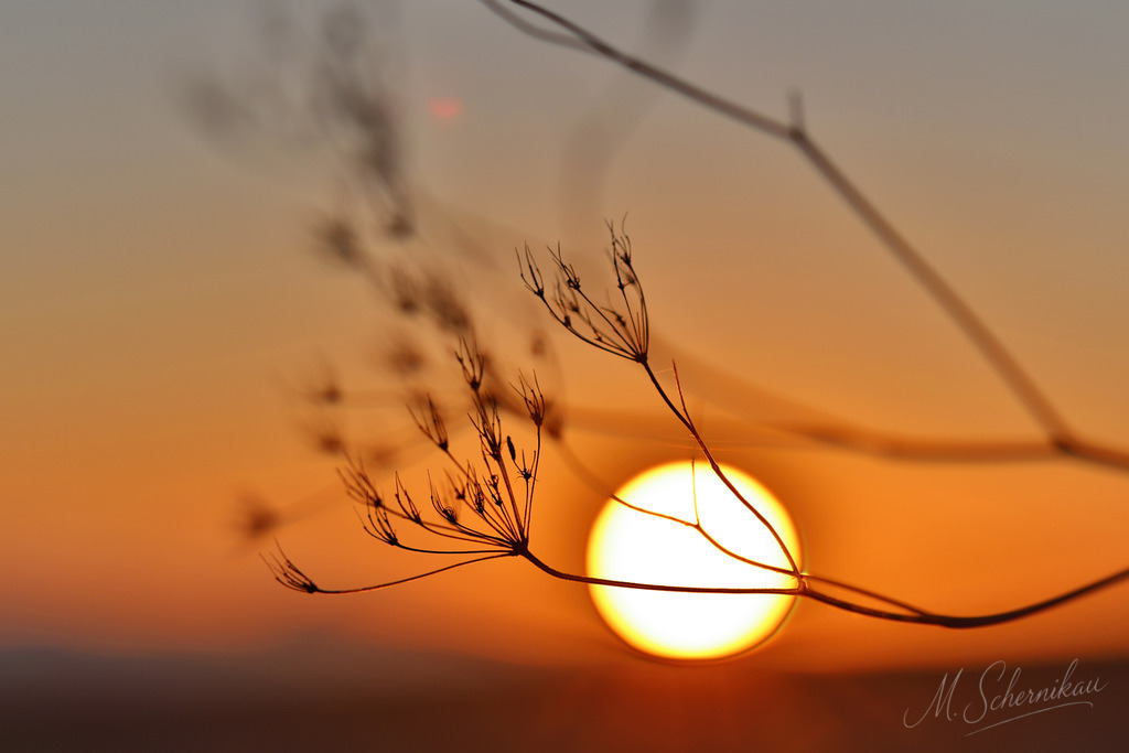 0 | 0 - Realisiert mit Pictrs.com