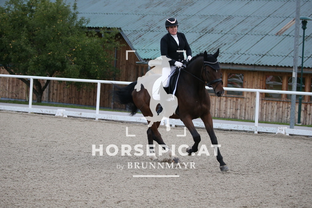 DL2Q1030 | Willkommen bei Brunnmayr - Design & Fotografie – Ihrem Spezialisten für Reitturniere und Pferdeveranstaltungen in Oberösterreich, Salzburg und Bayern! Seit über 17 Jahren sind wir leidenschaftlich dabei.