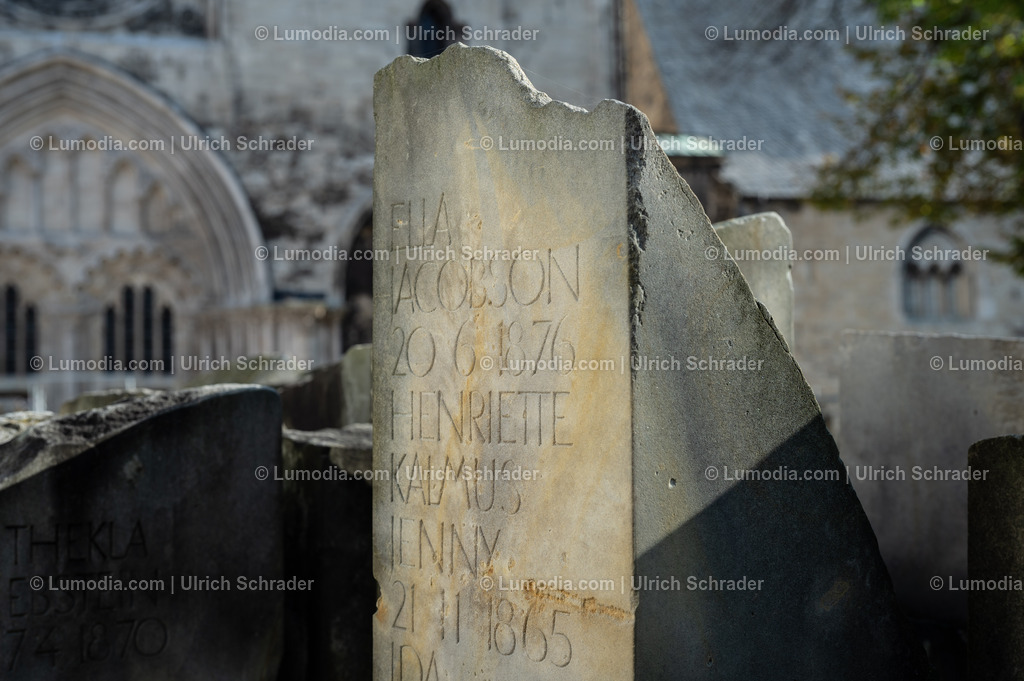10049-13343 - Steine der Erinnerung _ Halberstadt | Stockfoto und Bilderpool mit Bildmaterial aus Deutschland, dem Harz, Halberstadt, Quedlinburg, Wernigerode und weltweit. Qualitativ hochwertige und professionelle Fotos anschauen und kaufen. - Realized with Pictrs.com