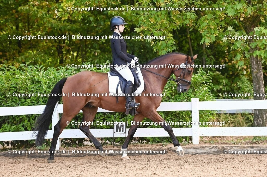 20230716_04_Dressurreiterprüfung Kl.A_0406 | equistock