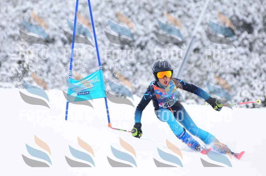 C4294 | holidayphoto