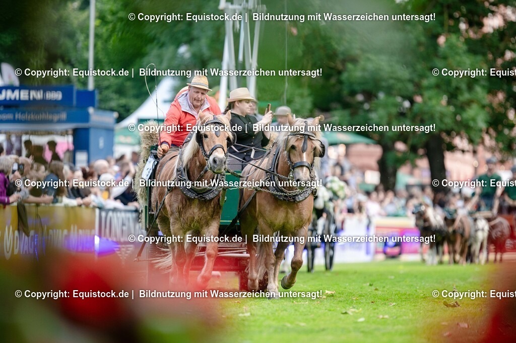20250606_Lange-Pferdenacht_0154 | Foto: Thomas Hartig