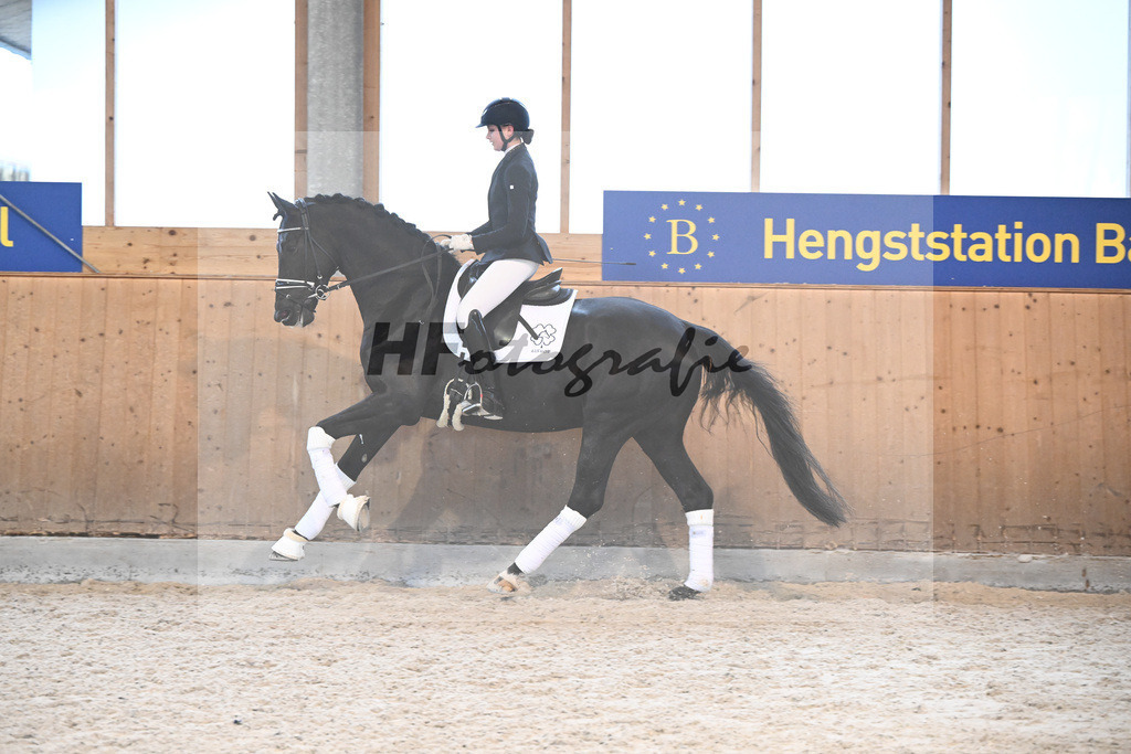 Haffruf_7240774 | hf-fotografie - Realisiert mit Pictrs.com