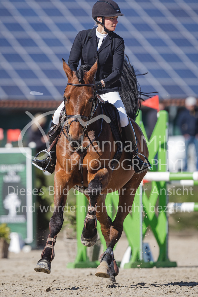 220416_4_L-Stil2-586 | Frühlingsfest der Pferde
Herford
16.April 2022
04/2 Stilspringprüfung Kl.L geschlossen 79-481 RLP