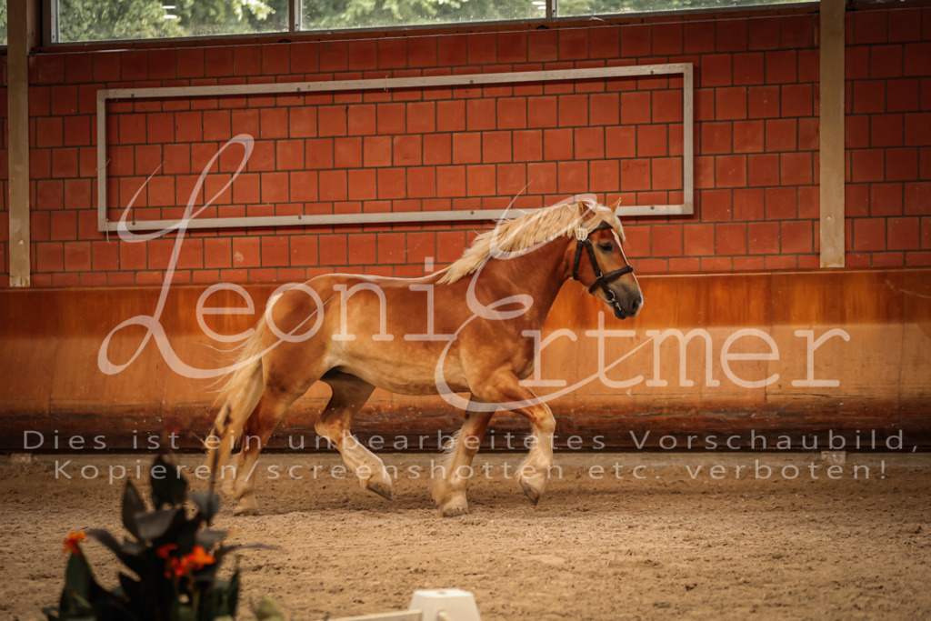 SaFL00249 | Leoni Ertmer Photography - Realisiert mit Pictrs.com