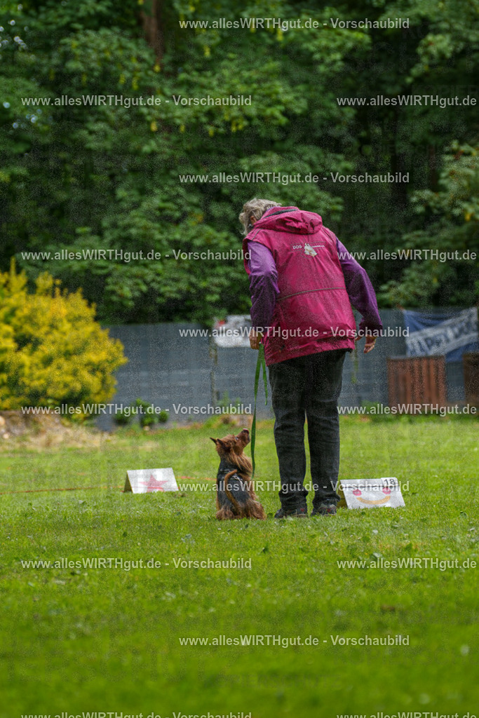 @allesWIRTHgut_Tierfotografie - www.allesWIRTHgut.de - 130943-7R509865 | Professionelle Tierfotografie in Mönchengladbach von Daniel Wirth (allesWIRTHgut). Liebevolle & natürliche Bilder von Hunden & Katzen für unvergessliche Erinnerungen.