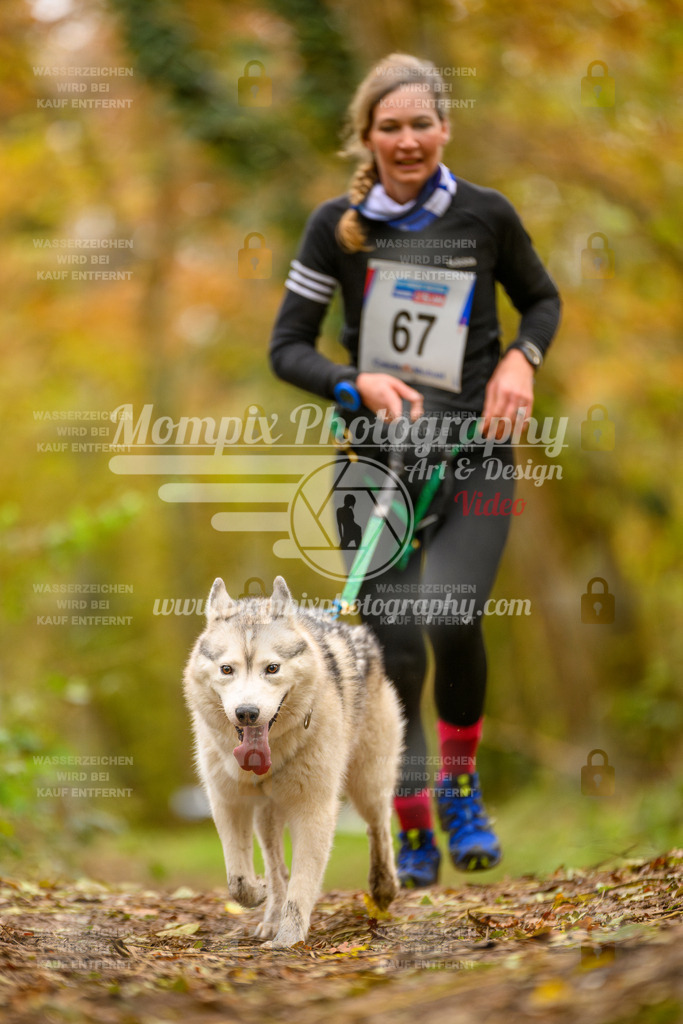 MompixPhotography_Bischwiller24_SA_Canicross-114 | PayLife