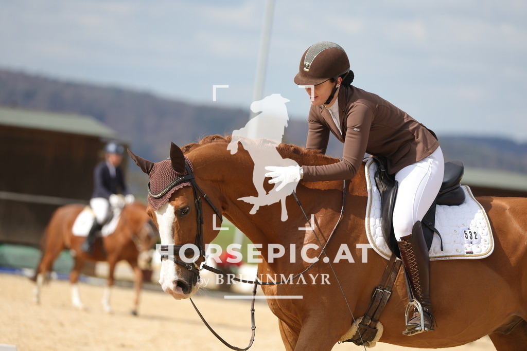 0P6A7554 | Willkommen bei Brunnmayr - Design & Fotografie – Ihrem Spezialisten für Reitturniere und Pferdeveranstaltungen in Oberösterreich, Salzburg und Bayern! Seit über 17 Jahren sind wir leidenschaftlich dabei.